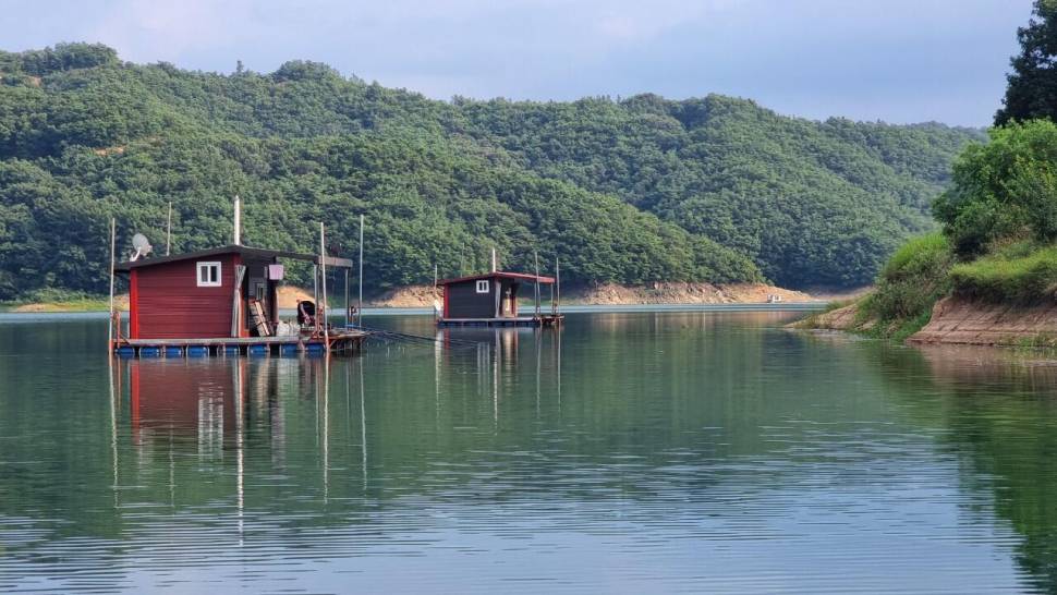 솔낚시터 허리급 조황 소식입니다 (조황조행기 - 충주호조황속보)