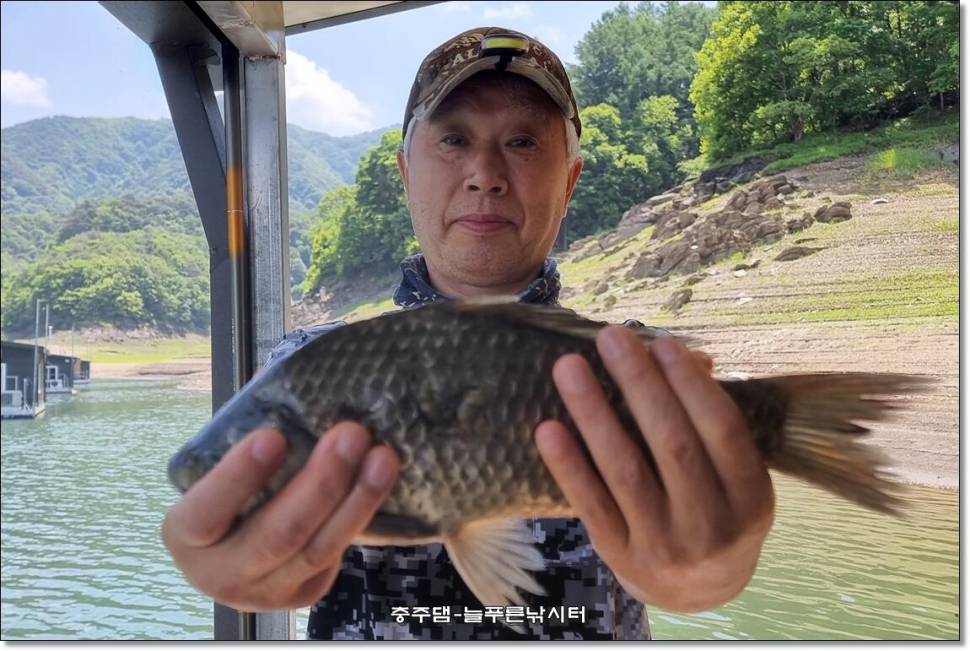 늘푸른4짜 소식입니다 (조황조행기 - 충주호조황속보)