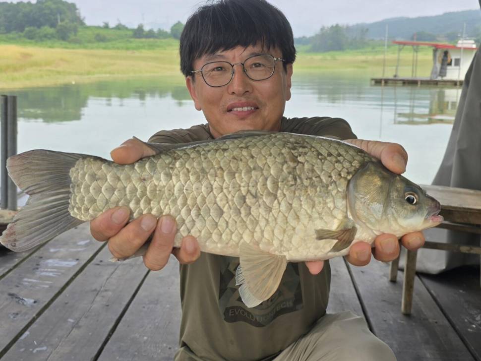 청풍 한버들 조황입니다 (조황조행기 - 충주호조황속보)