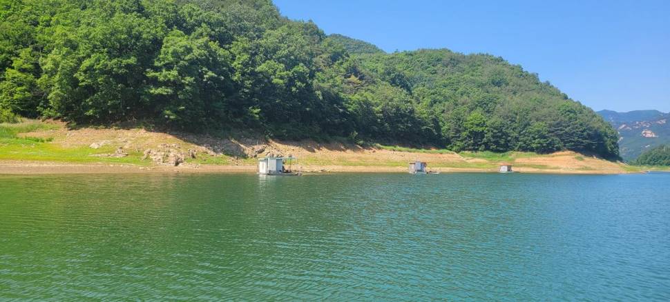청풍 실리곡낚시터 허리급입니다 (조황조행기 - 충주호조황속보)