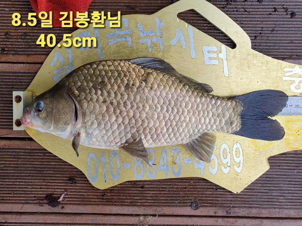 실리곡낚시터 44cm 대물 조황입니다 (조황조행기 - 충주호조황속보)