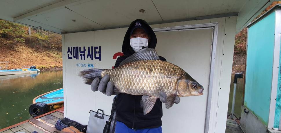 신매낚시터 11월 01일조황 (조황조행기 - 충주호조황속보)