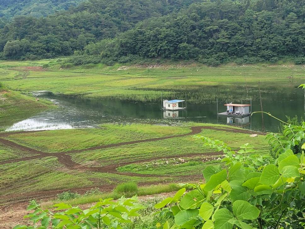 청풍 실리곡낚시터 4짜외 허리급마릿수입니다 (조황조행기 - 충주호조황속보)
