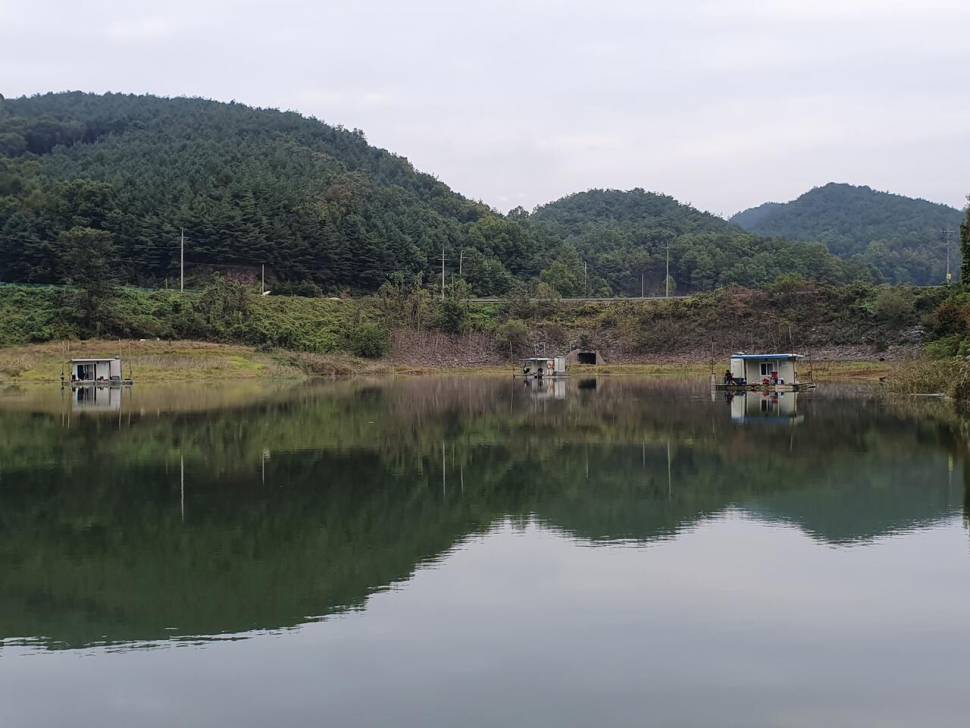 실리곡낚시터 허리급 조황입니다 (조황조행기 - 충주호조황속보)