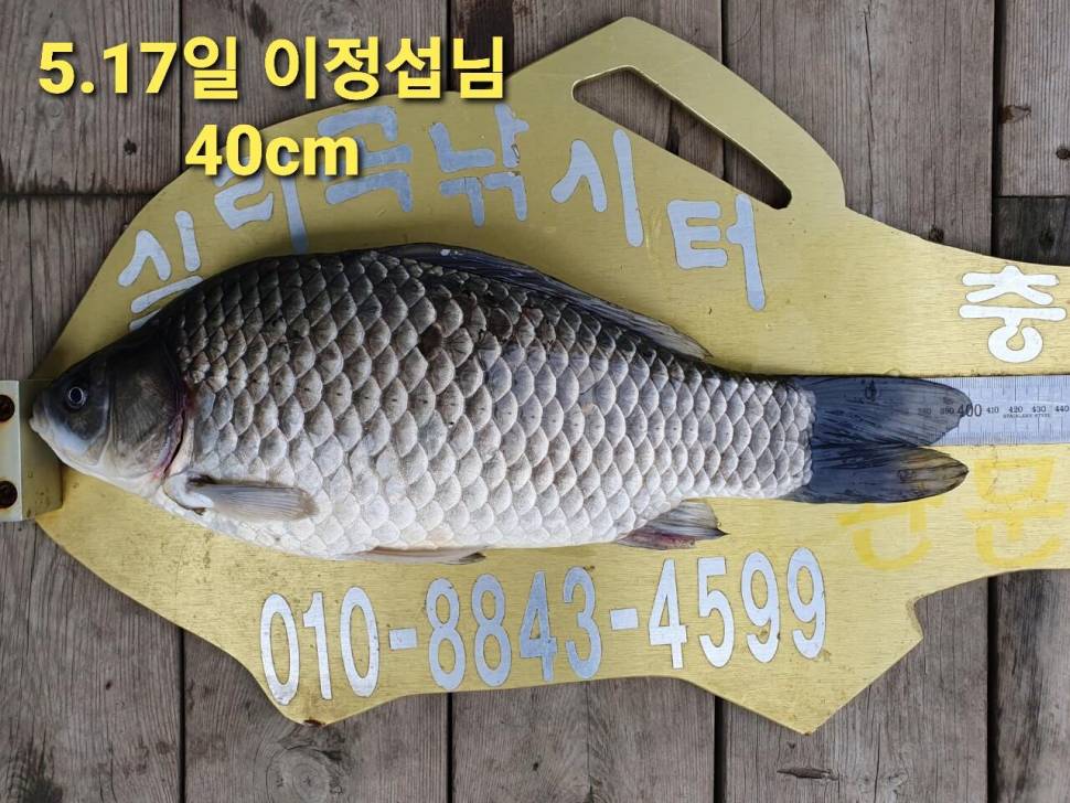 실리곡낚시터 44cm 대물 조황입니다 (조황조행기 - 충주호조황속보)