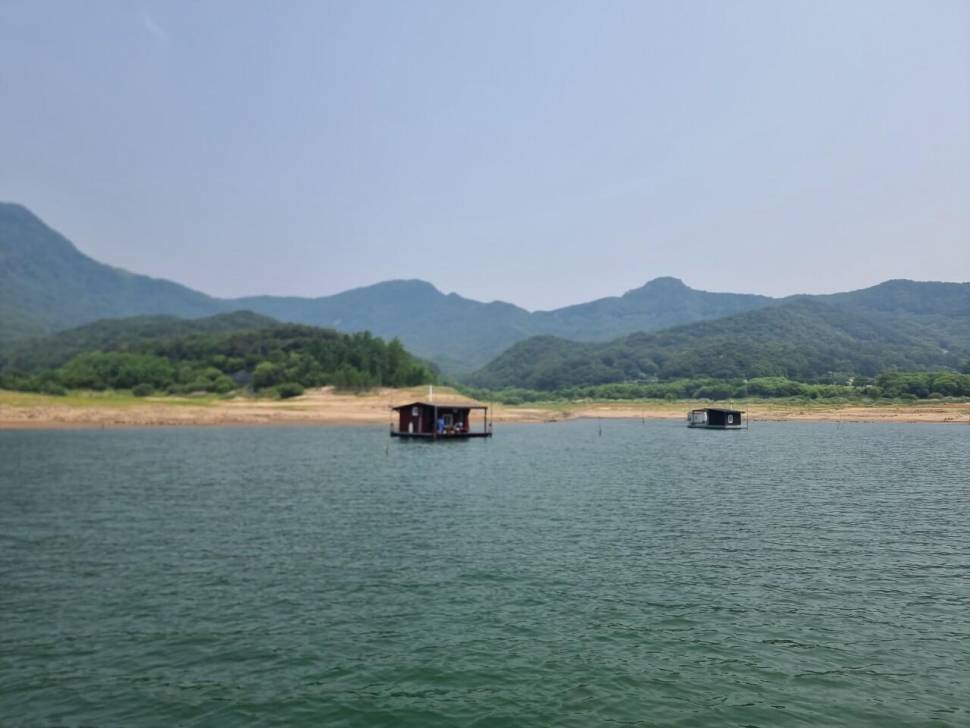 솔낚시터 사짜 월척 준척 허릿급 … 골고루조황소식요 (조황조행기 - 충주호조황속보)