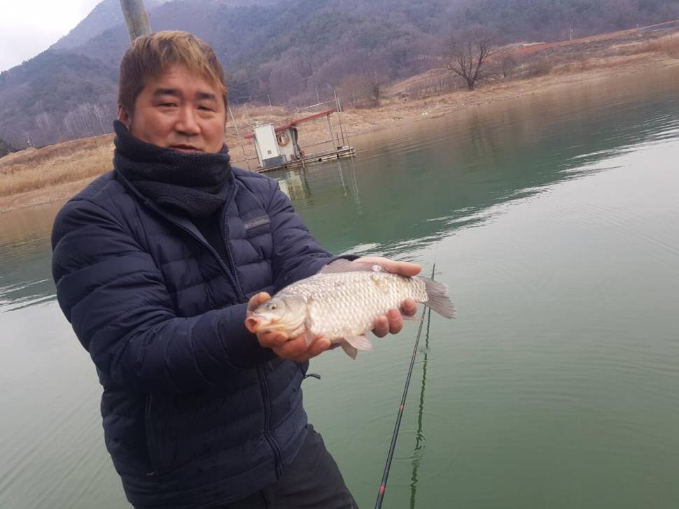 청풍 한버들 허릿급및 월척 조황입니다 (조황조행기 - 충주호조황속보)