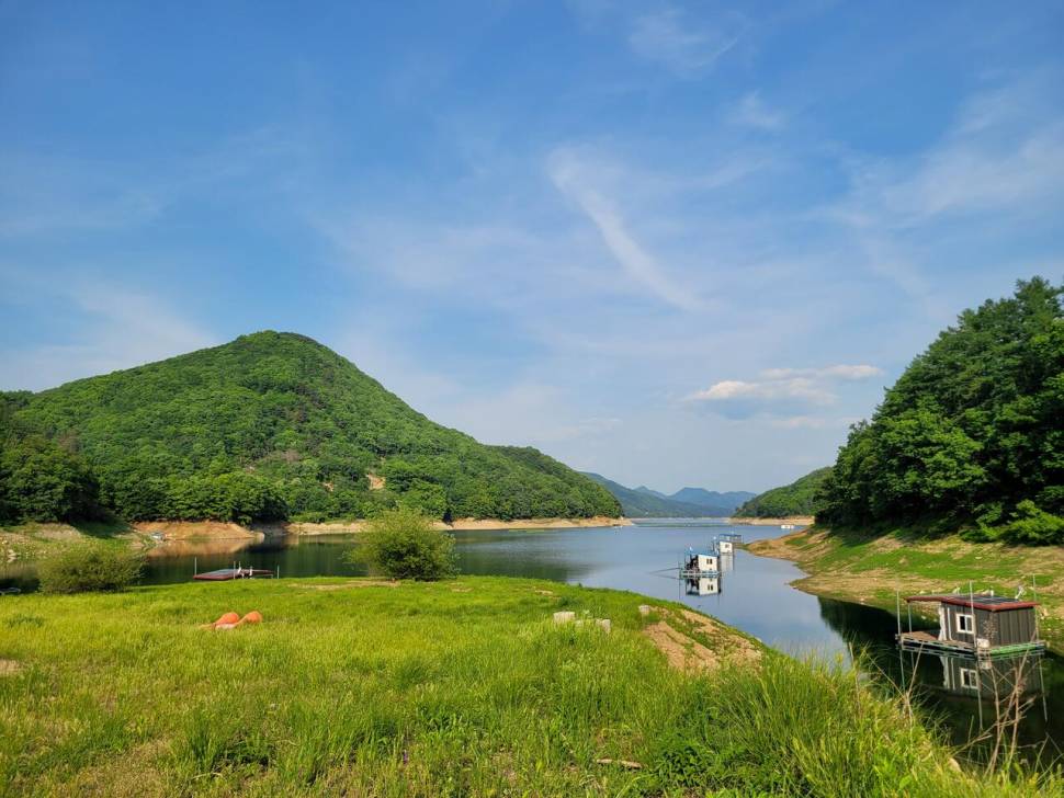 충주호목벌 조황 (조황조행기 - 충주호조황속보)