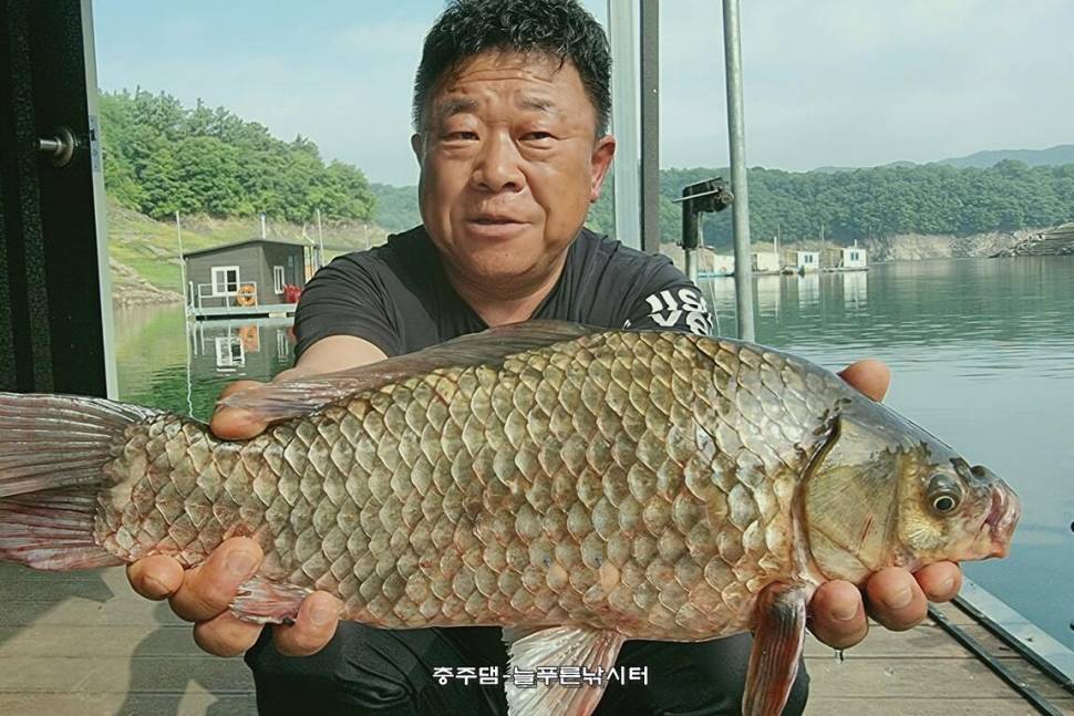 아까비 492cm (조황조행기 - 충주호조황속보)