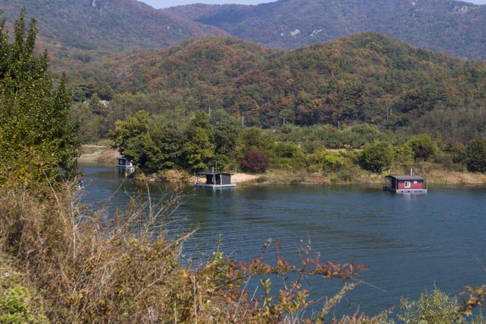 솔낚시터 월척 조황소식입니다 (조황조행기 - 충주호조황속보)