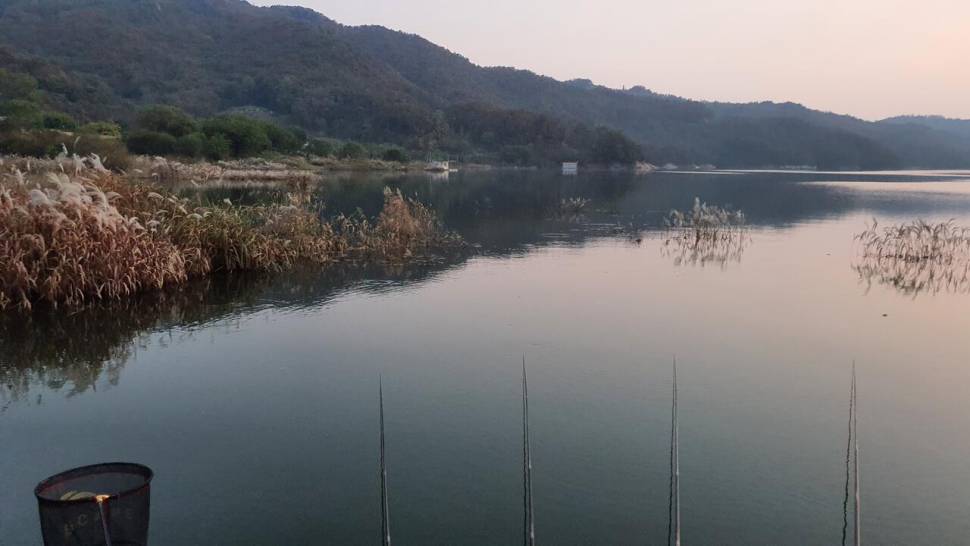 서운리 종점 낚시터 입니다 (조황조행기 - 충주호조황속보)