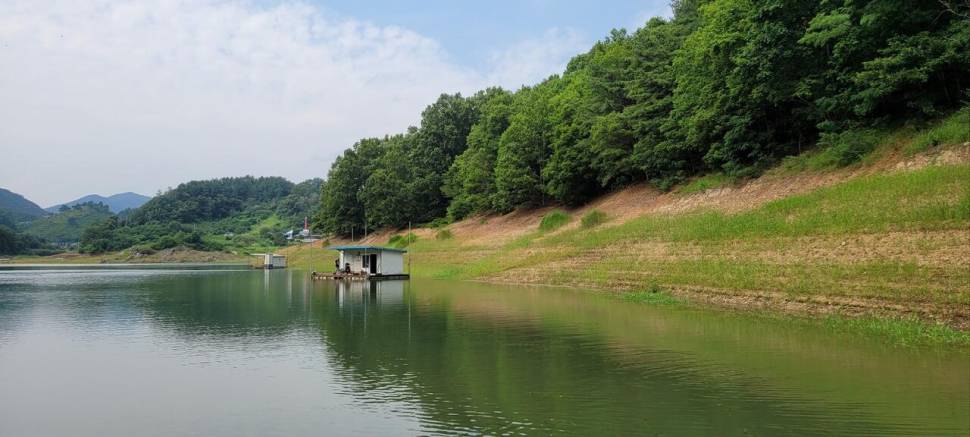 청풍신리낚시터 4짜외 대박조황입니다 (조황조행기 - 충주호조황속보)