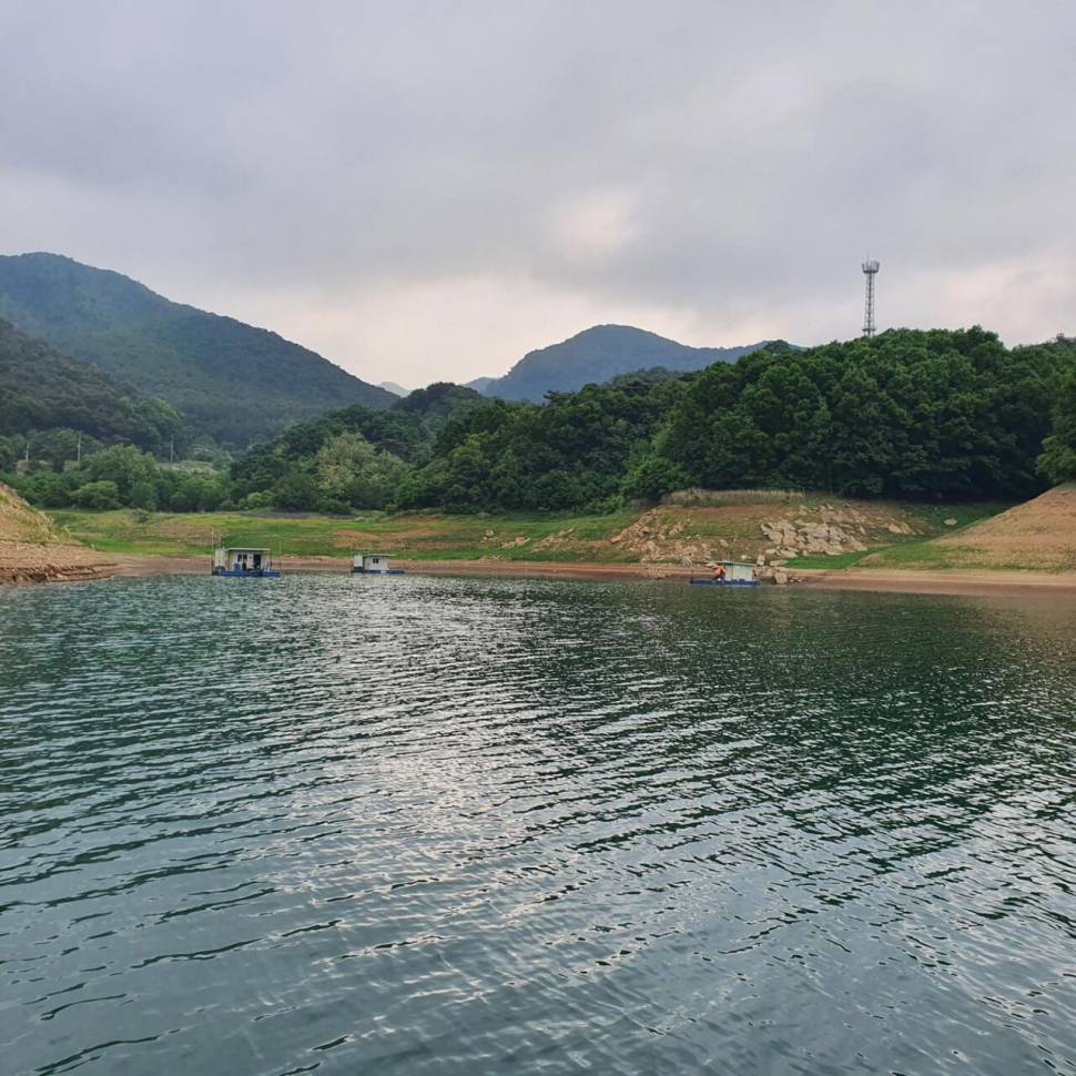 후산낚시터 조황 안내 입니다 (조황조행기 - 충주호조황속보)