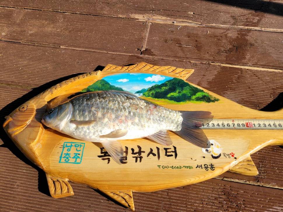 충주호목벌낚시터소식 (조황조행기 - 충주호조황속보)