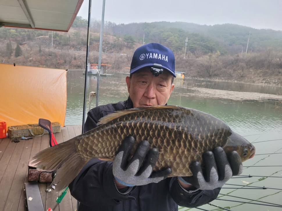 청풍실리곡낚시터 435cm4짜 대물 조황입니다 (조황조행기 - 충주호조황속보)