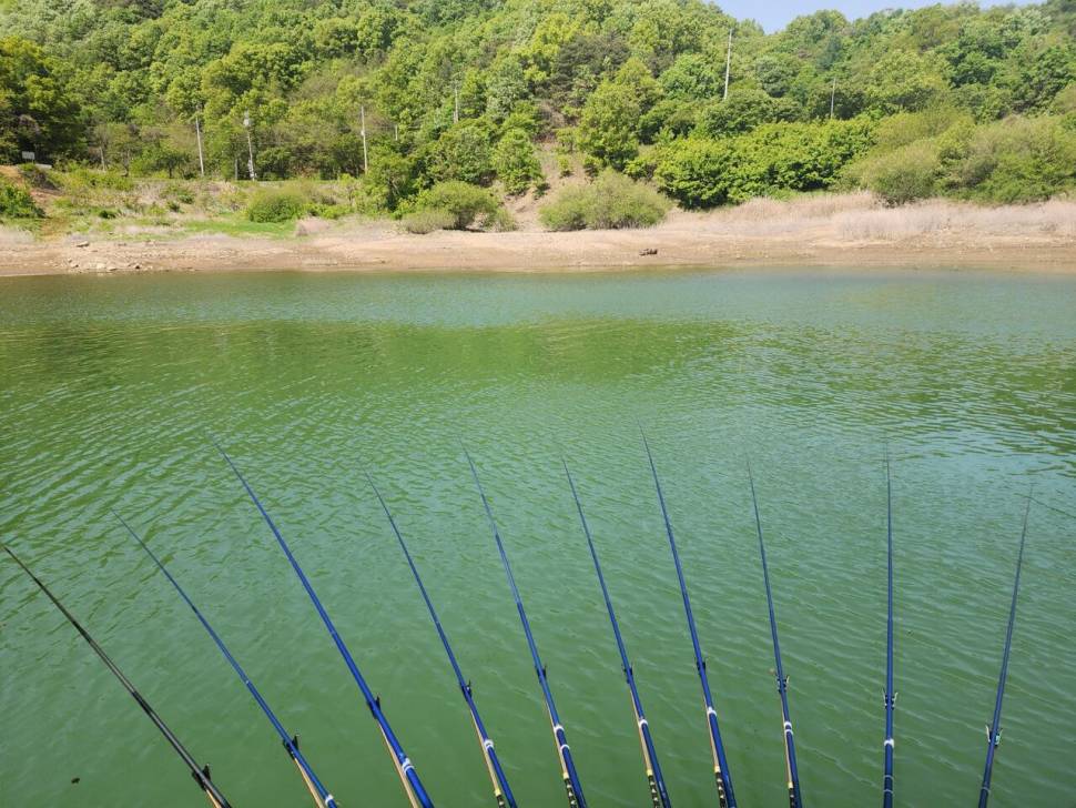 청풍 한버들 조황입니다 (조황조행기 - 충주호조황속보)