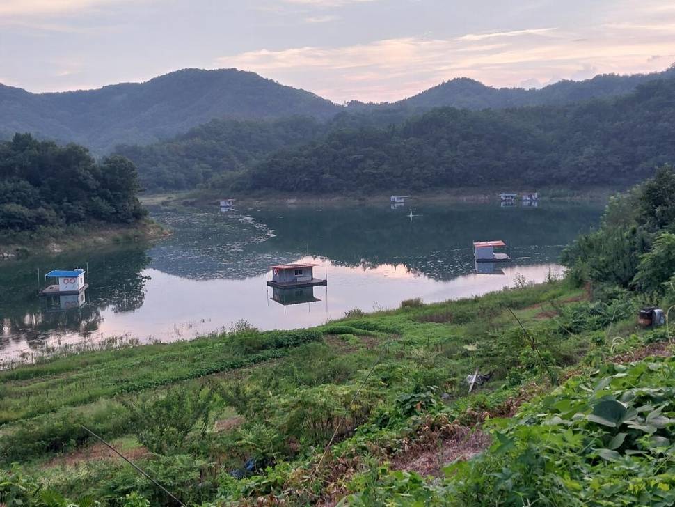 청풍 실리곡낚시터 조황입니다 (조황조행기 - 충주호조황속보)