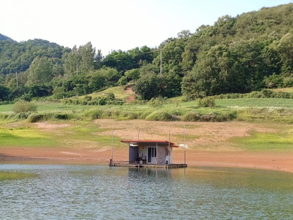 청풍 한버들 조황입니다 (조황조행기 - 충주호조황속보)
