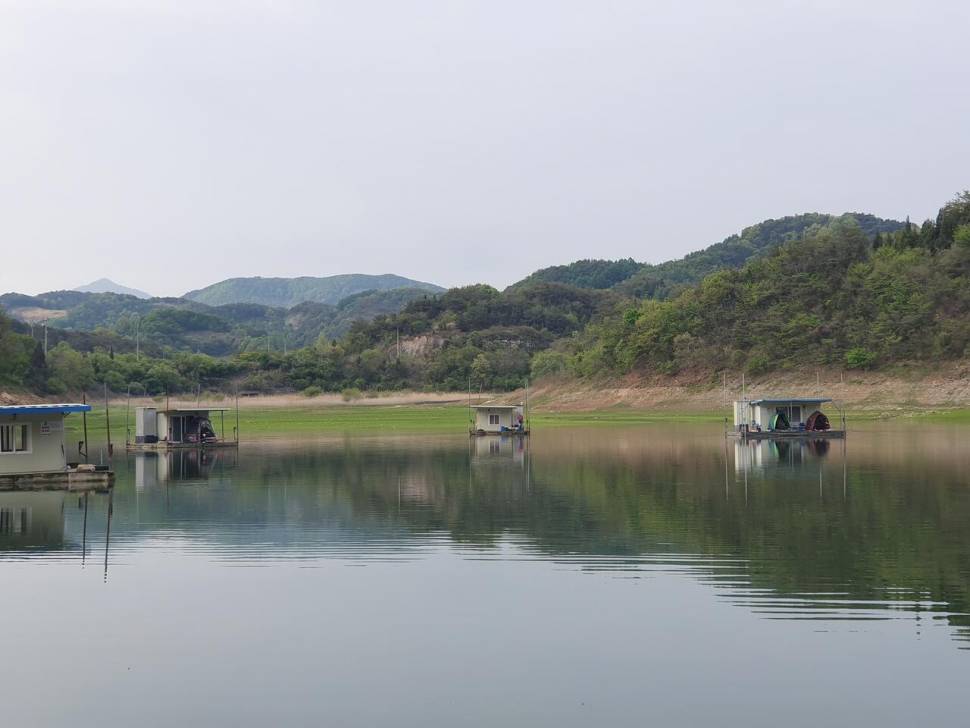실리곡낚시터 4짜허리급 5수 조황입니다 (조황조행기 - 충주호조황속보)
