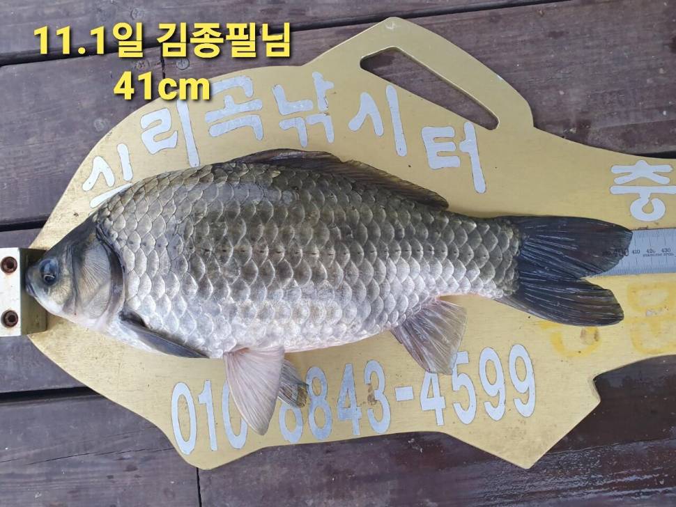 실리곡낚시터 44cm 대물 조황입니다 (조황조행기 - 충주호조황속보)
