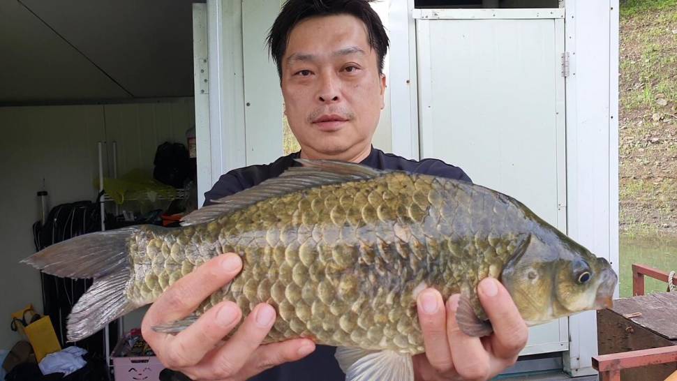 신매낚시터 7월 2일조황 (조황조행기 - 충주호조황속보)