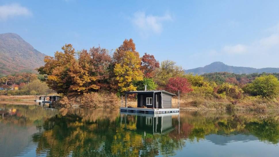 솔낚시터 조황소식입니다 (조황조행기 - 충주호조황속보)
