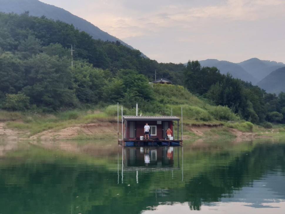솔낚시터 조황소식 입니다 (조황조행기 - 충주호조황속보)