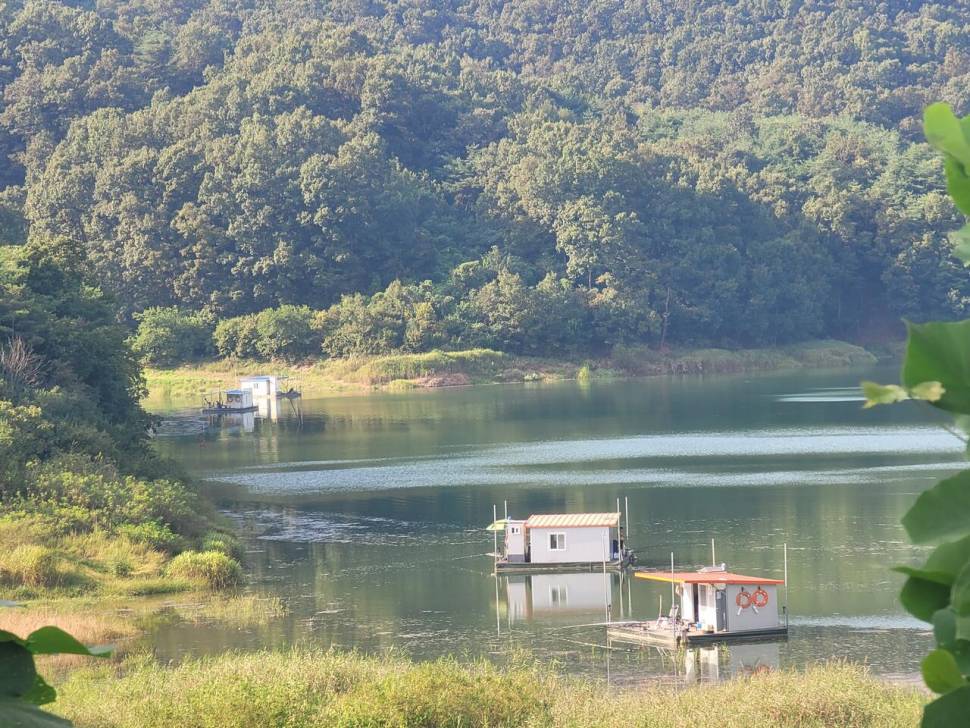 청풍 실리곡낚시터 허리급 조황입니다 (조황조행기 - 충주호조황속보)