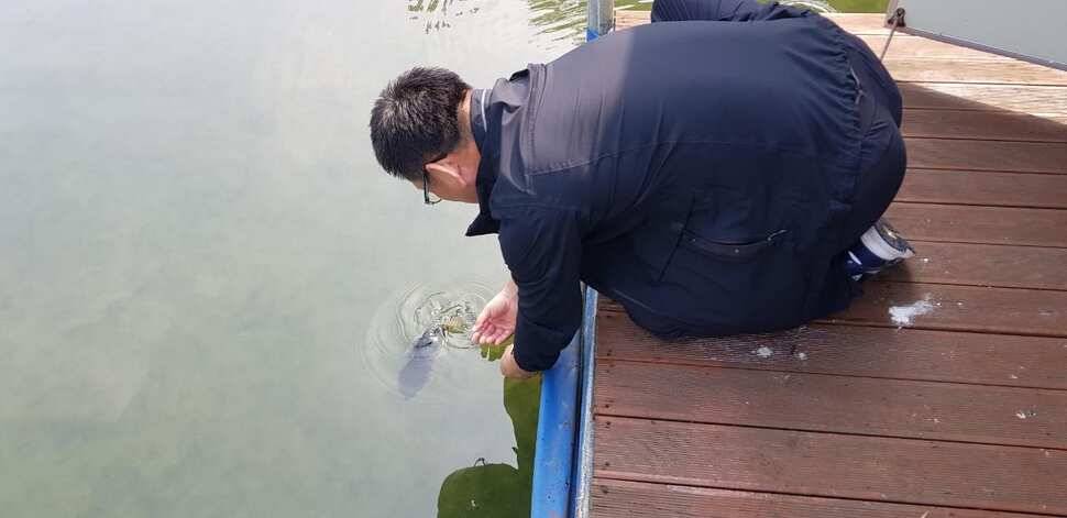 사오단돈조항소식입니다 (조황조행기 - 충주호조황속보)