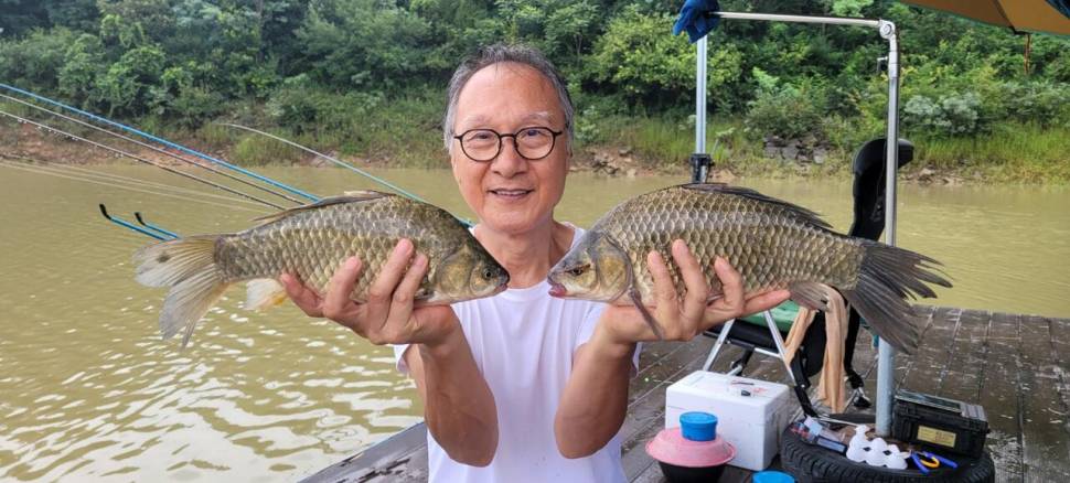 청풍 실리곡낚시터 41cm외 허리급 조황입니다 (조황조행기 - 충주호조황속보)