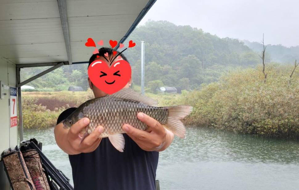 청풍신리낚시터 조황정보입니다 (조황조행기 - 충주호조황속보)