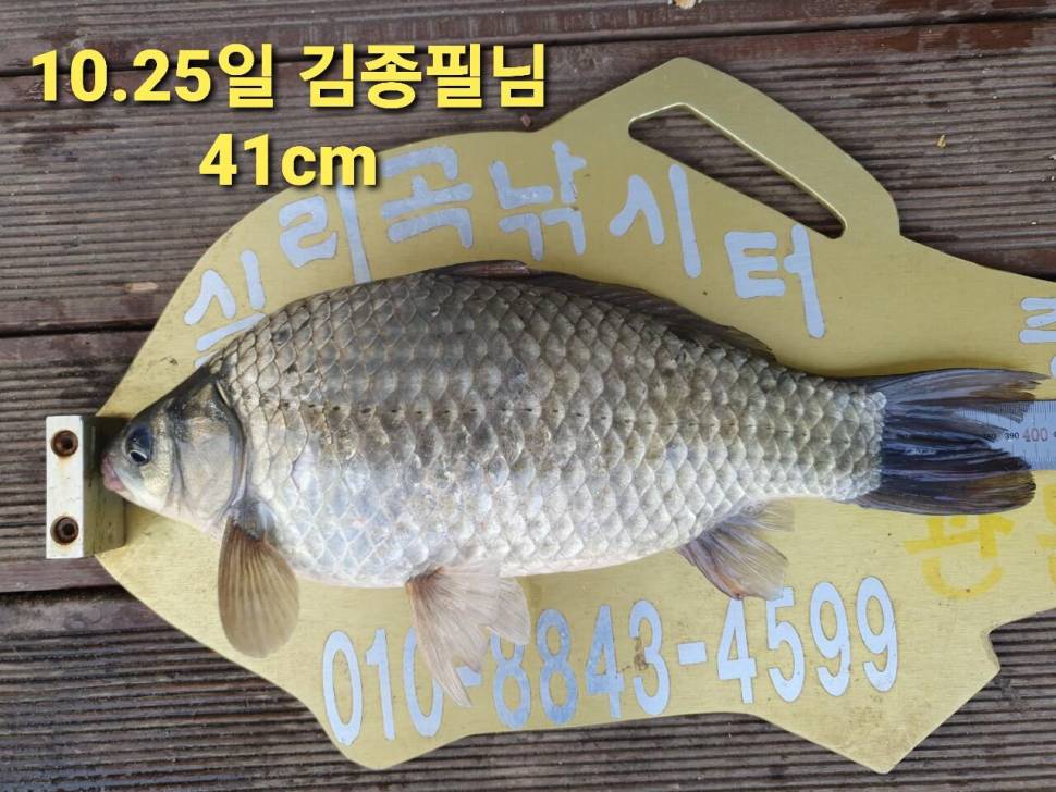 실리곡낚시터 44cm 대물 조황입니다 (조황조행기 - 충주호조황속보)