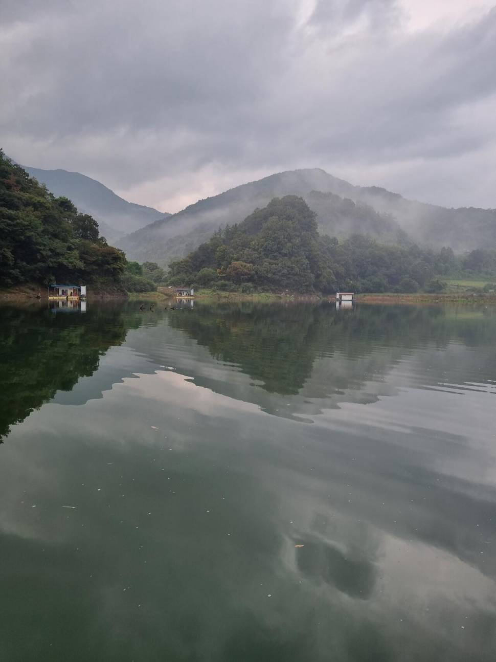 사오리 낚시터 조황정보 (조황조행기 - 충주호조황속보)