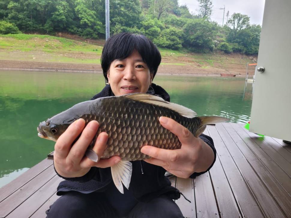 청풍 실리곡낚시터 허리급입니다 (조황조행기 - 충주호조황속보)