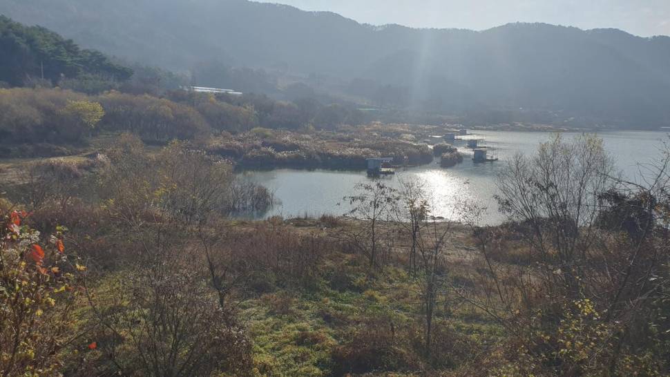 종점 낚시터입니다 (조황조행기 - 충주호조황속보)