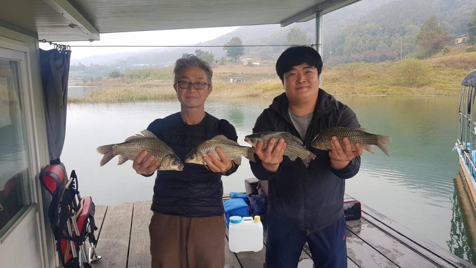 청풍호 한버들 조황입니다 (조황조행기 - 충주호조황속보)