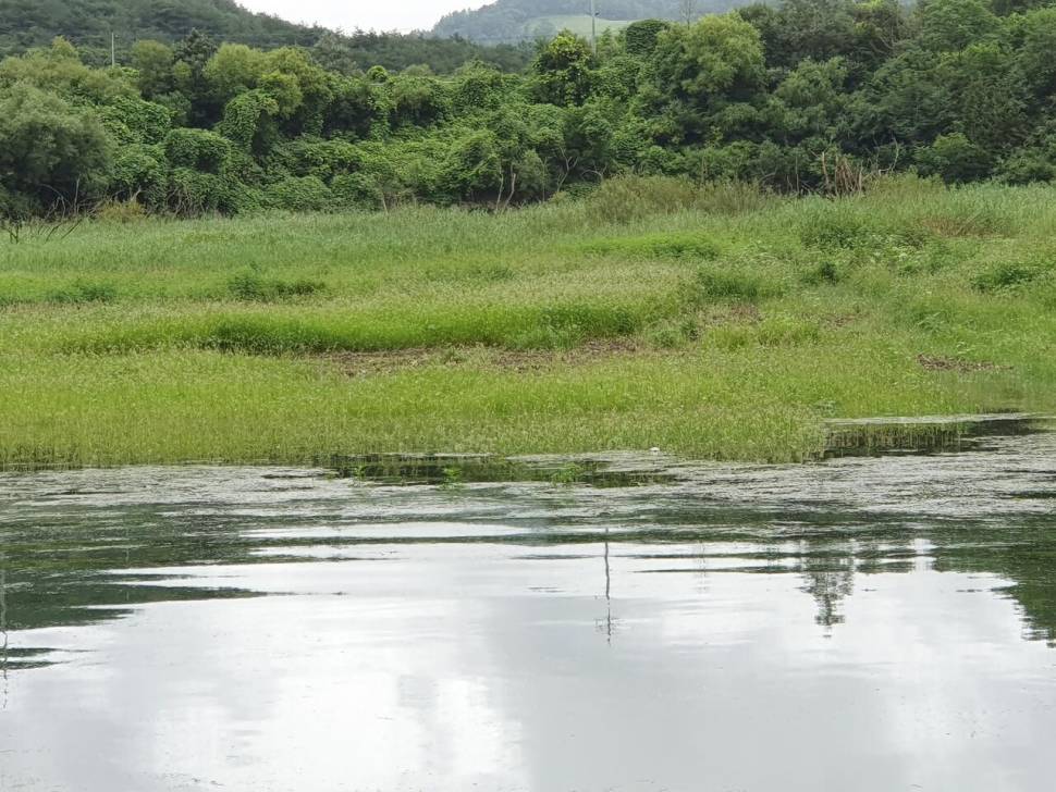 실리곡낚시터 조황입니다 (조황조행기 - 충주호조황속보)