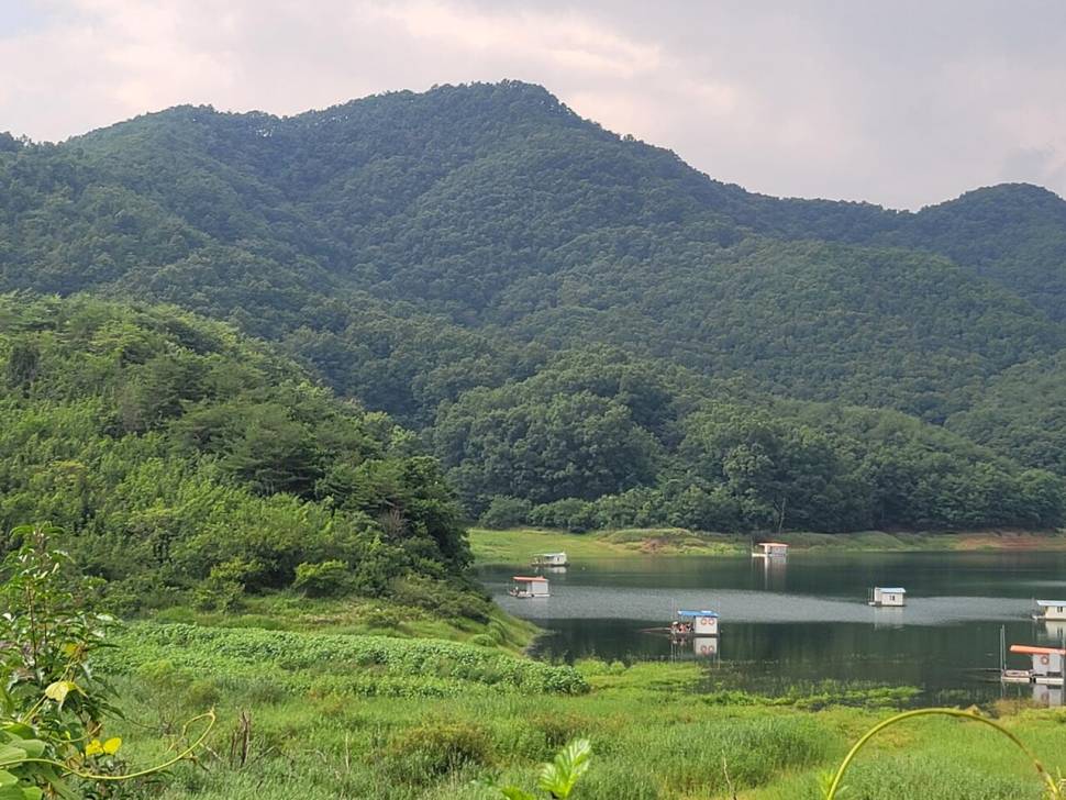 실리곡낚시터 4짜 조황입니다 (조황조행기 - 충주호조황속보)