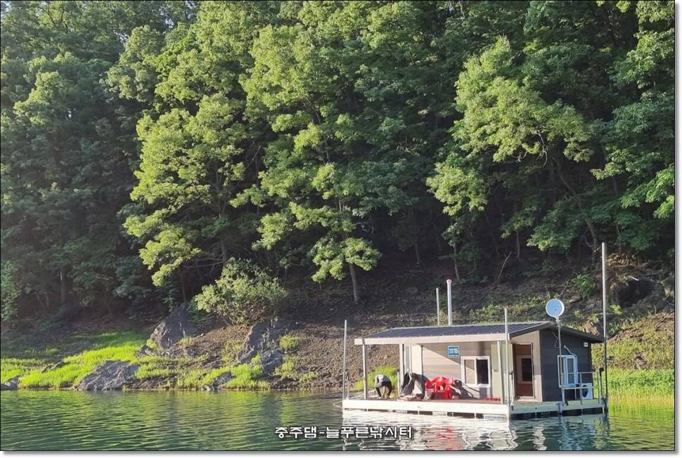 충주호 늘푸른 주중 조황소식 (조황조행기 - 충주호조황속보)