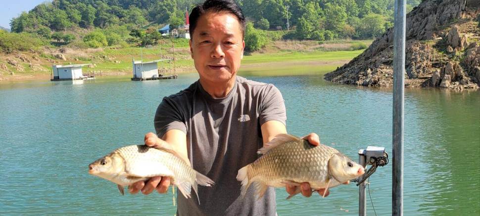 청풍신리낚시터 조황정보입니다 (조황조행기 - 충주호조황속보)