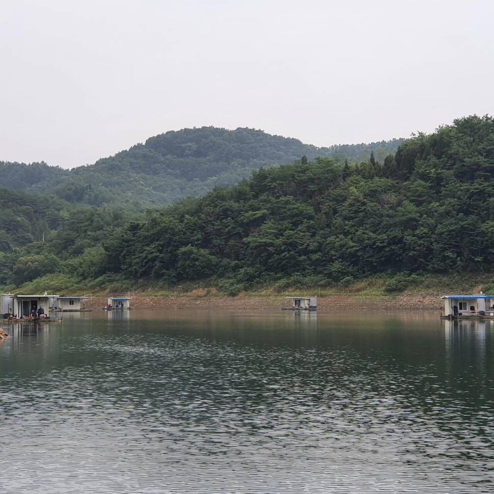 실리곡낚시터 허리급 조황입니다 (조황조행기 - 충주호조황속보)