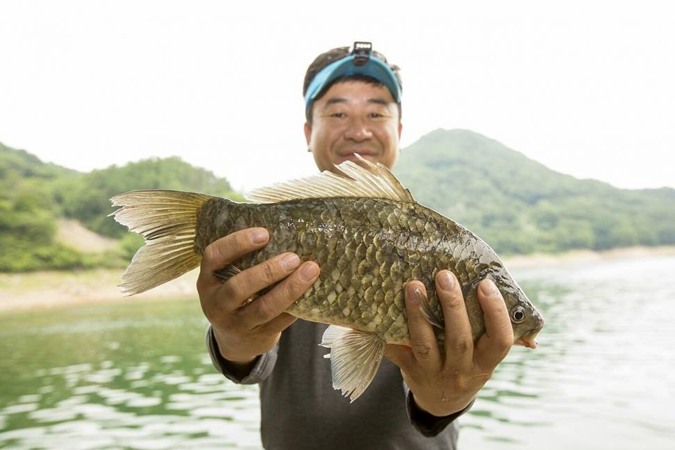 목벌대물과 주말조황 (조황조행기 - 충주호조황속보)