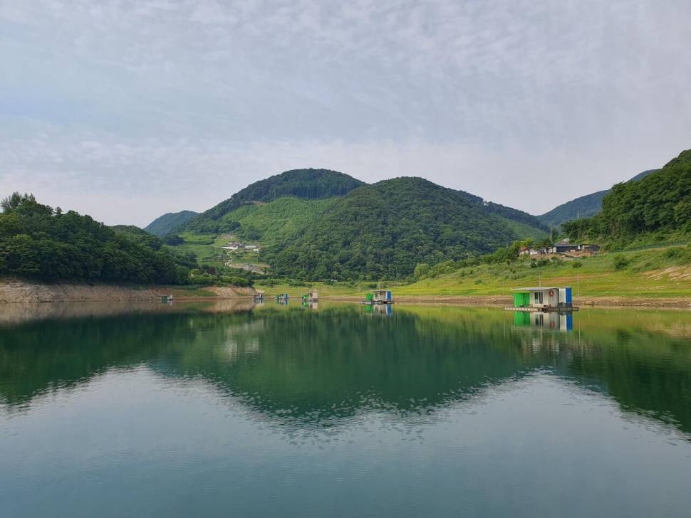 용곡 김기호낚시터 사짜 조황 정보입니다 (조황조행기 - 충주호조황속보)
