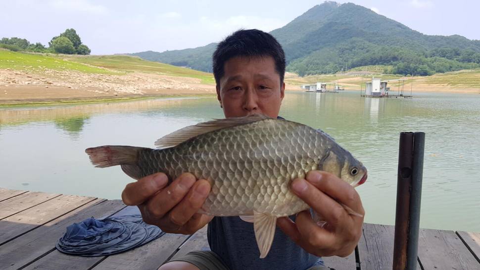 한버들 허릿급 조황입니다 (조황조행기 - 충주호조황속보)