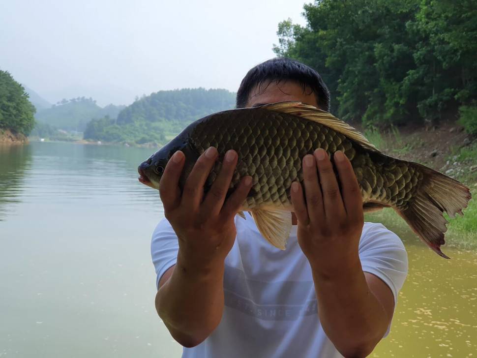 청풍신리낚시터 42cm415cm 조황입니다 (조황조행기 - 충주호조황속보)