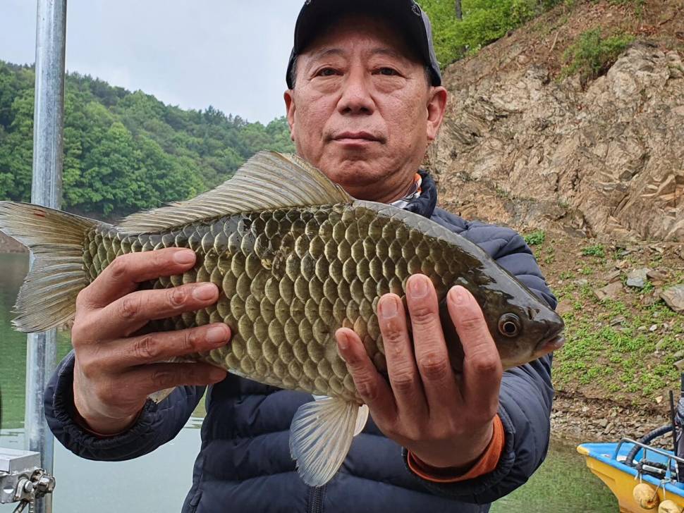청풍신리낚시터 415cm41cm 조황입니다 (조황조행기 - 충주호조황속보)