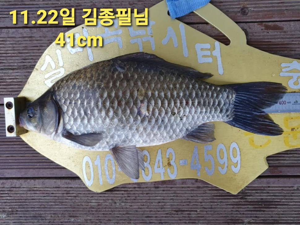 실리곡낚시터 44cm 대물 조황입니다 (조황조행기 - 충주호조황속보)