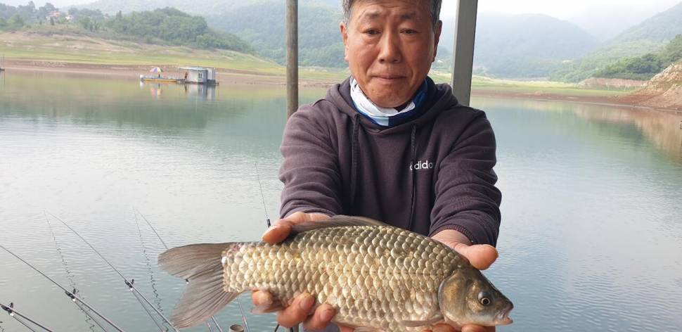 청풍 짱가네 조황소식 (조황조행기 - 충주호조황속보)