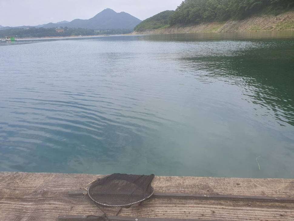 용곡 김기호 낚시터 조황정보 입니다 (조황조행기 - 충주호조황속보)