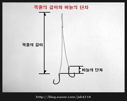 떡밥낚시에 목줄단차조절을 어떻게하시나요 (월척지식 - 기타지식)